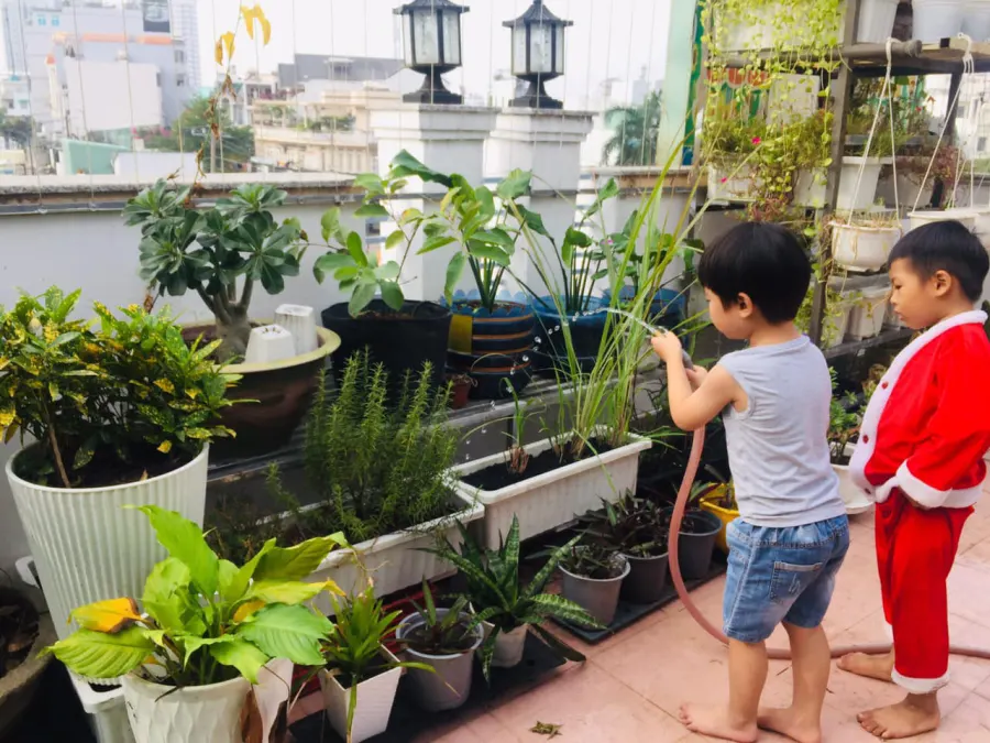 Trường mầm non Learn N Play