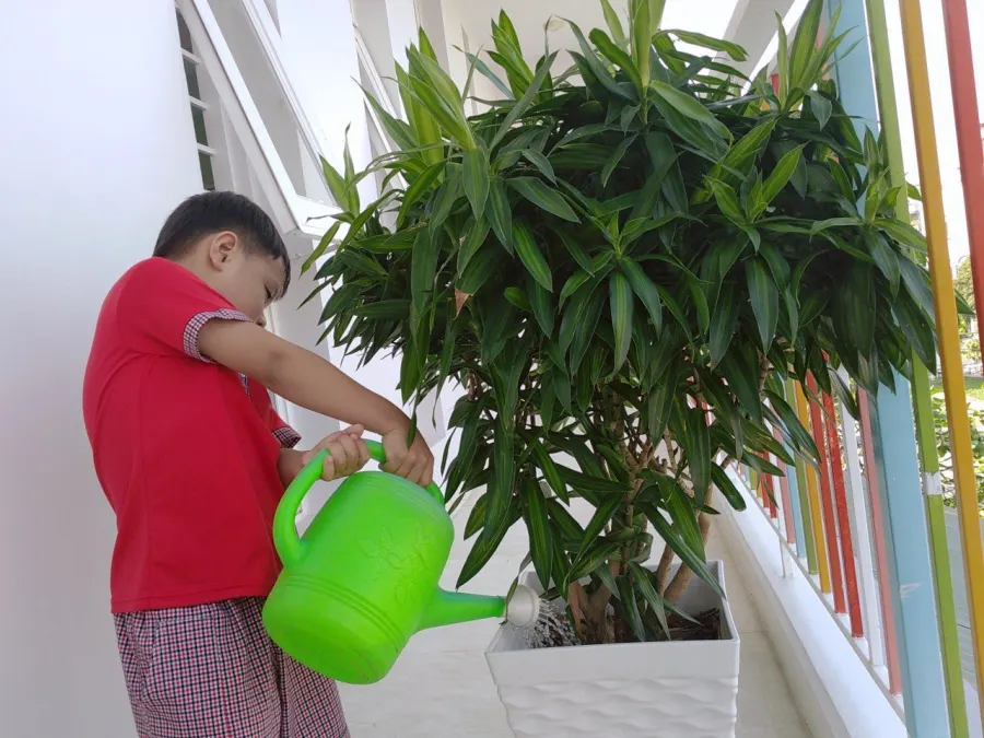Trường Mầm non Thiên Ấn Montessori - Phường 9