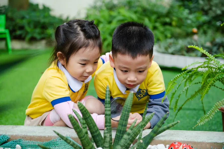 IVY School - Cơ sở Thần Đồng Việt