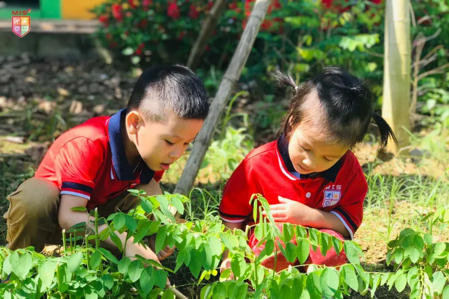 Trường Mầm Non Song Ngữ MIS