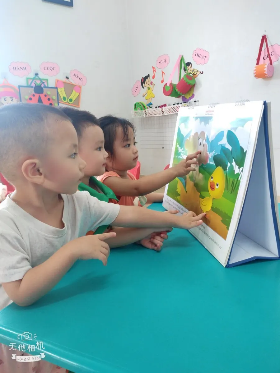 Mầm non San Hô