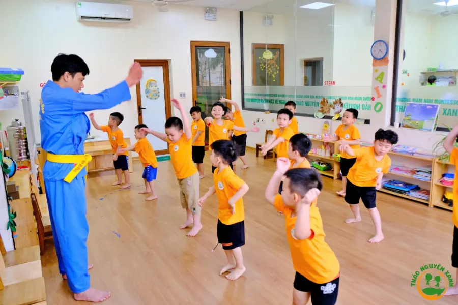 Trường mầm non Montessori Thảo Nguyên Xanh - P.Lê Hồng Phong, Phủ Lý