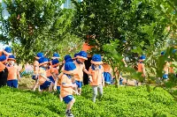 Trường Mầm Non Star Academy - Học Viện Ngôi Sao - Vincom Hà Giang