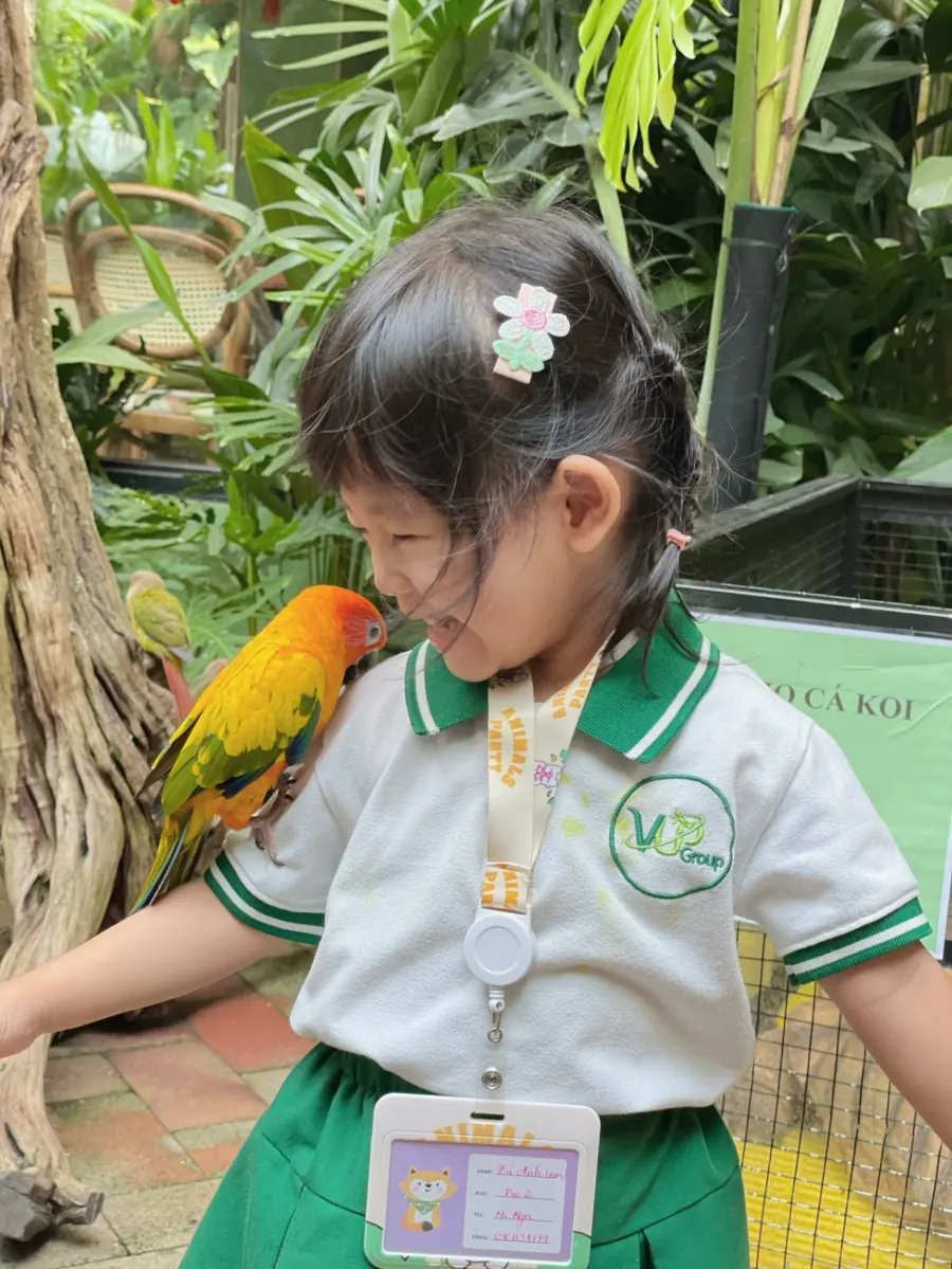 Trường Mầm Non Quốc Tế Việt Úc Khang Điền