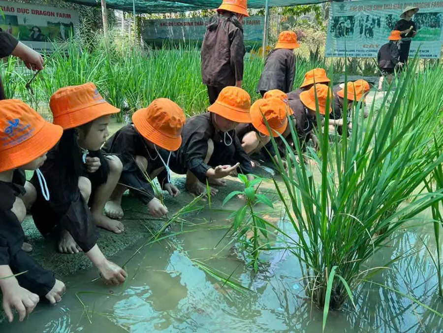 Mầm Non An Lộc