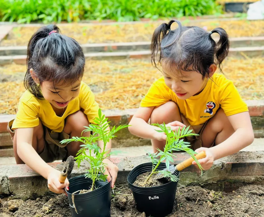 Trường Mầm Non Doremon - Diêu Trì