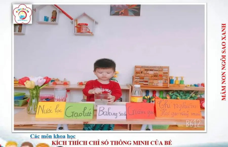 Trường mầm non Ngôi Sao Xanh (Green Stars)