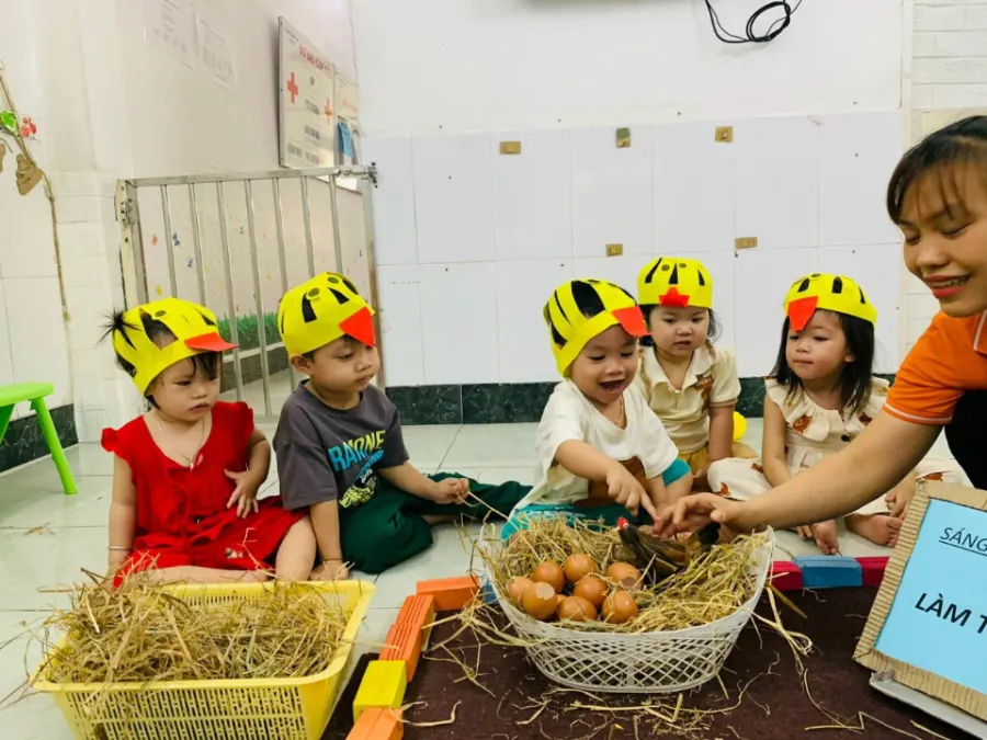 Mầm Non Song Ngữ Ánh Sáng (Apollo school) - Tân Đông Hiệp, Dĩ An