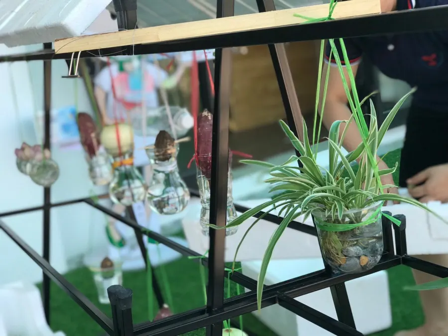 Trường mầm non Việt Mỹ (Viet My Preschool Playgroup)
