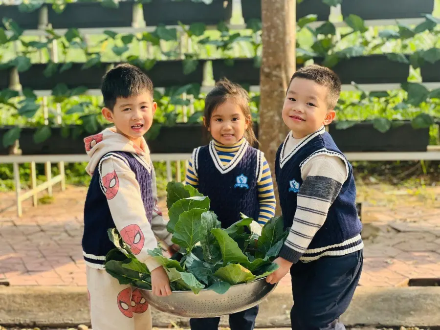 Trường mầm non Ngôi Sao Việt (Viet Star Kindergarten) - Minh Nông, Tp Việt Trì