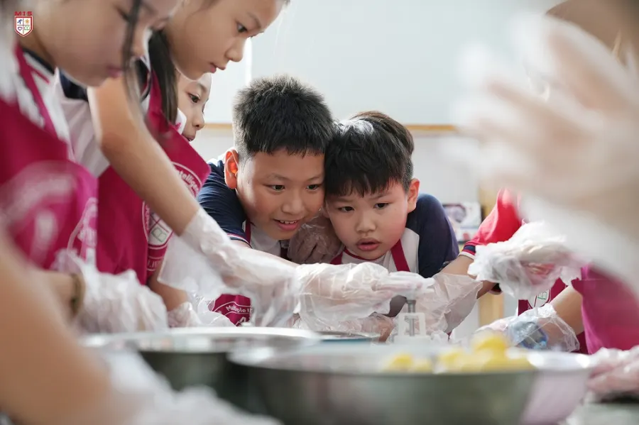 Trường Tiểu học, THCS và THPT Đa Trí Tuệ MIS - KĐT Dịch Vọng