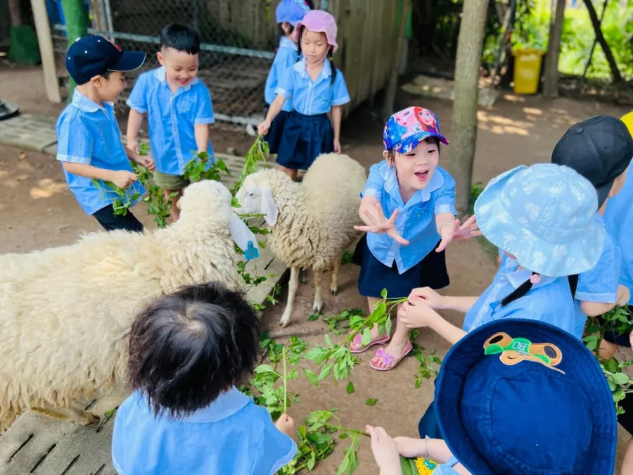 Trường Mầm Non Happy Feet Montessori Pre-school