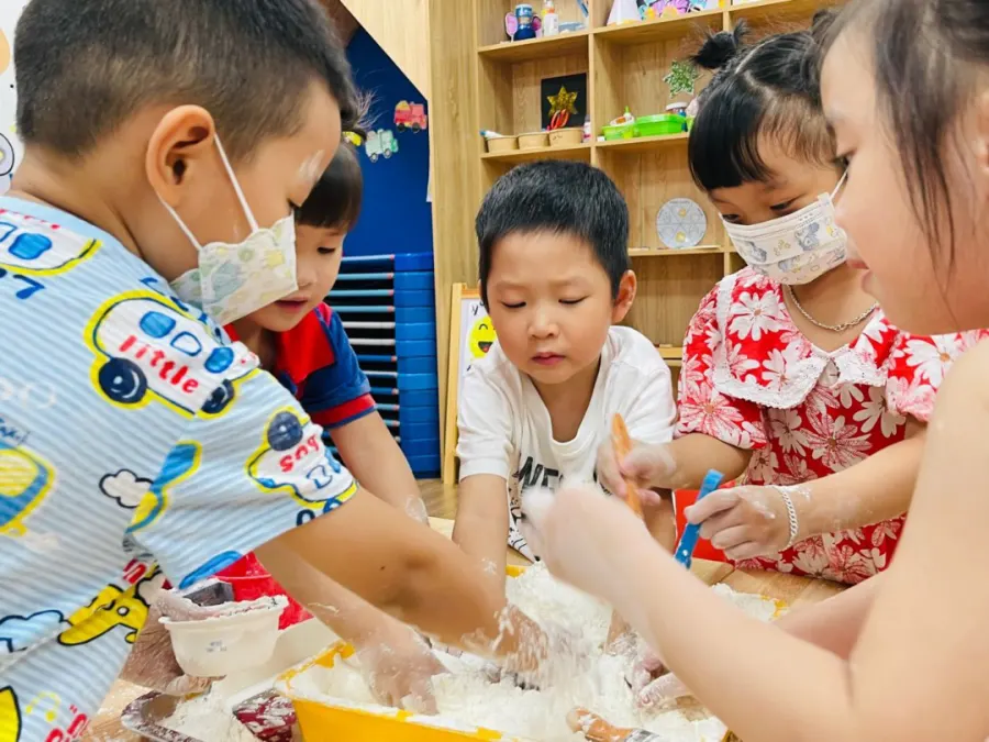 Trường Mầm Non Quốc Tế Mỹ Rosemont (RAIS)