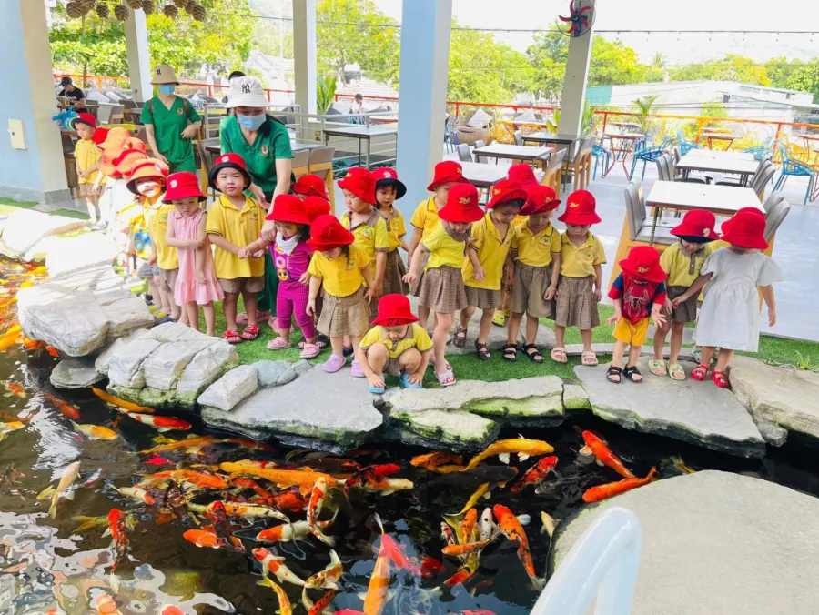 Mầm Non Tương Lai