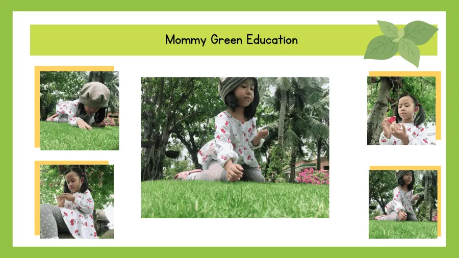 Trường Mầm Non Mommy Green Education