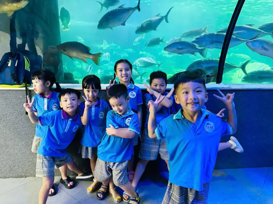 Mầm non Hoa Tháng Sáu (June Kindergarten)