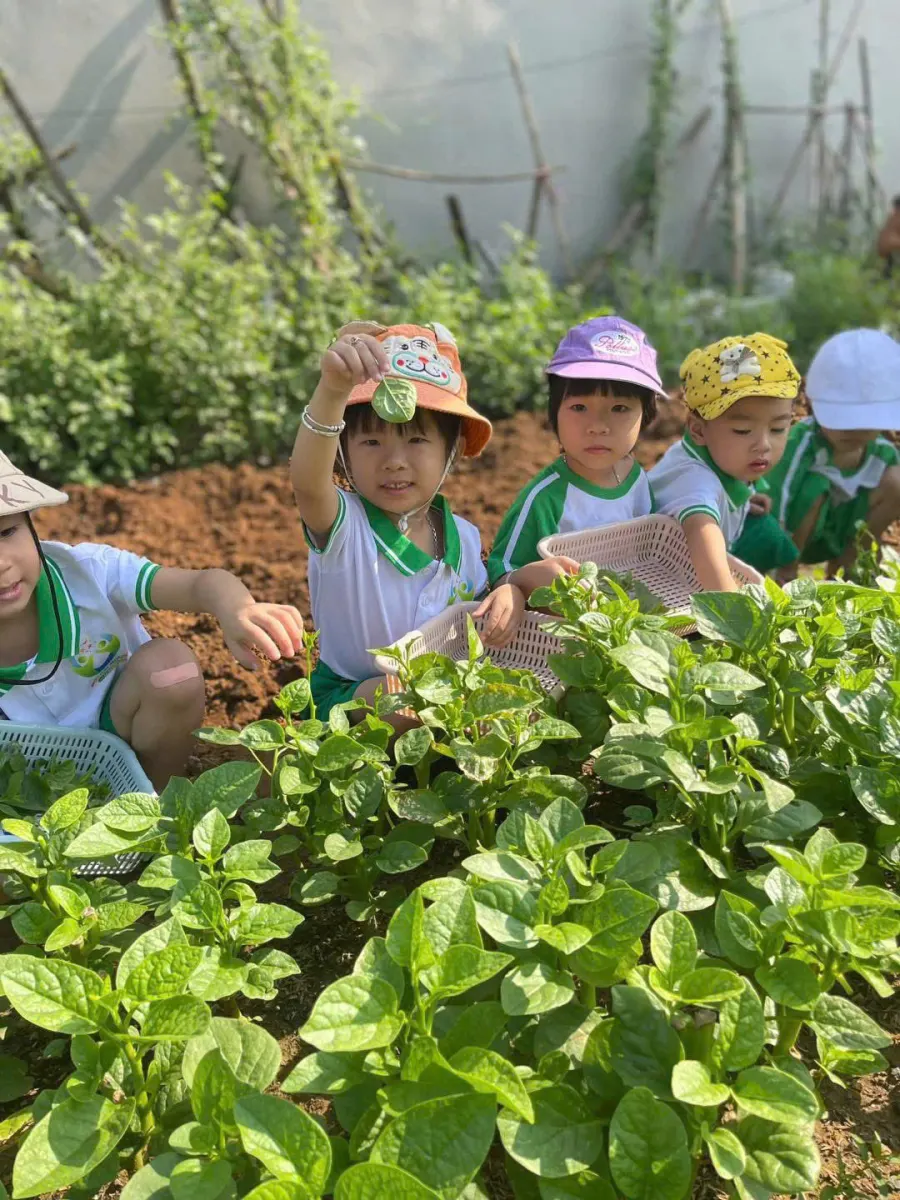 Mầm Non Học Viện Ngôi Nhà Mơ Ước (Dream House Academy)