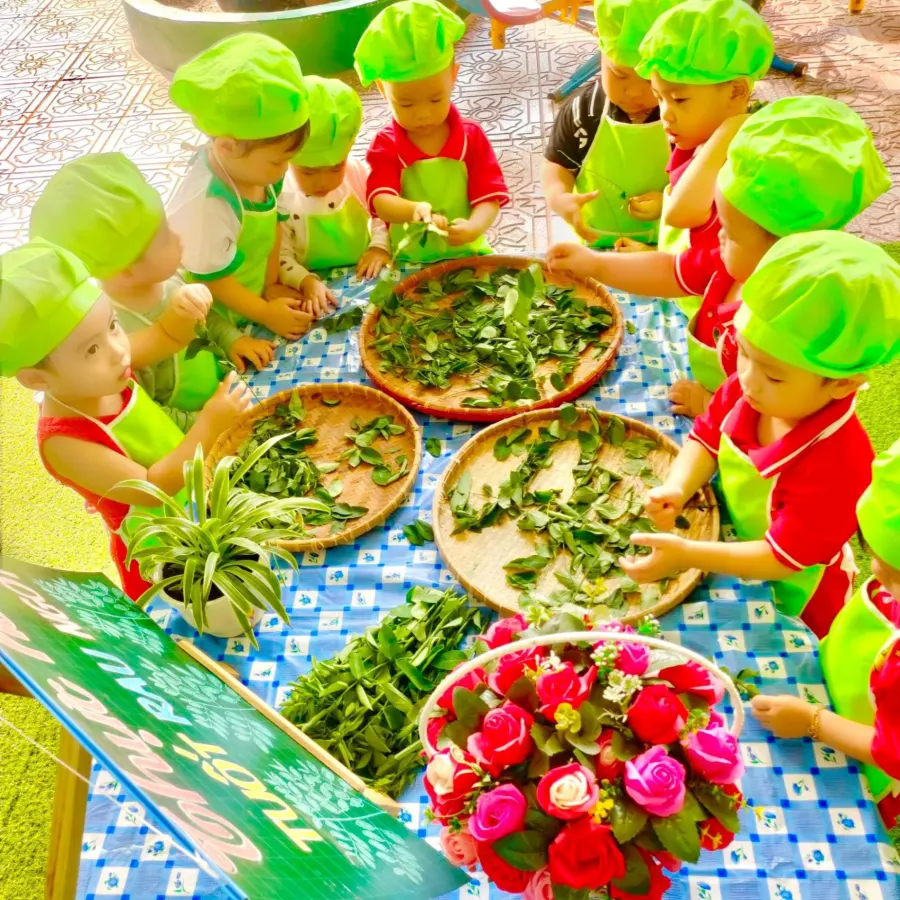 Trường Mầm Non Sơn Ca - An Bình, Dĩ An
