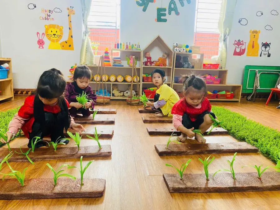 Trường Mầm Non Sóc Nhí - Quang Trung, Nam Định