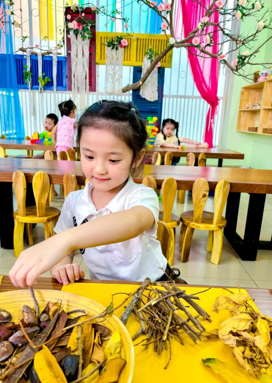 Trường Mầm Non Ngôi Sao Nhỏ (Stars Academy)