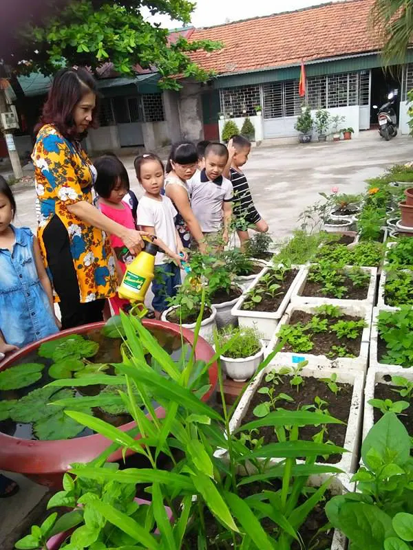 Trường mầm non Cẩm Sơn 1
