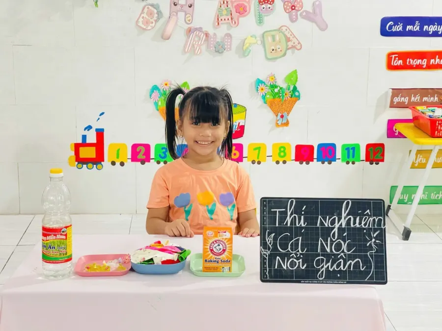 Mầm Non Bảo Anh