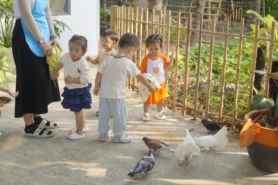 Trường Mầm Non Song Ngữ Montessori Smiling Fingers - TP. Thủ Đức