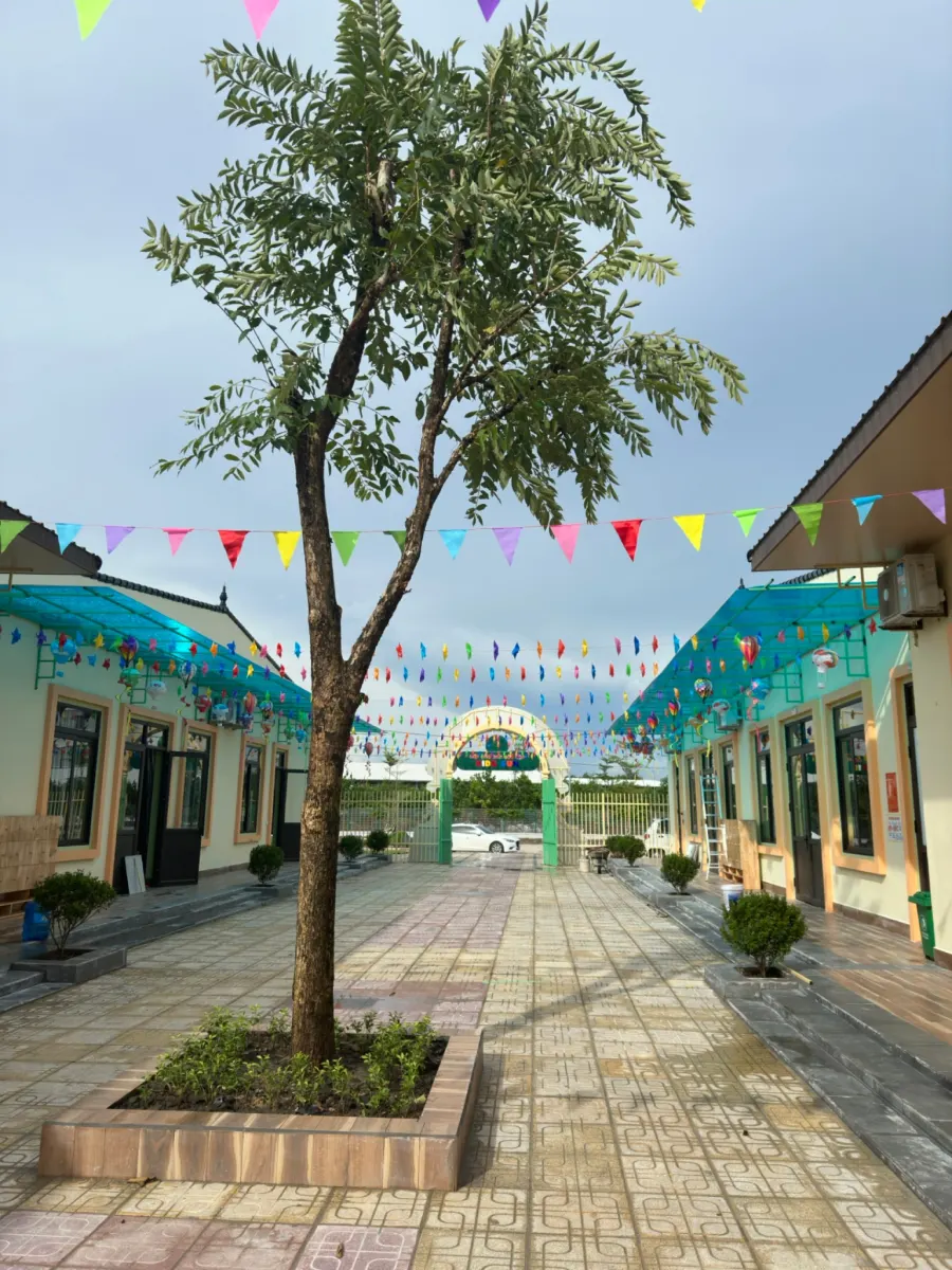 Trường Mầm Non Song Ngữ Kidsun