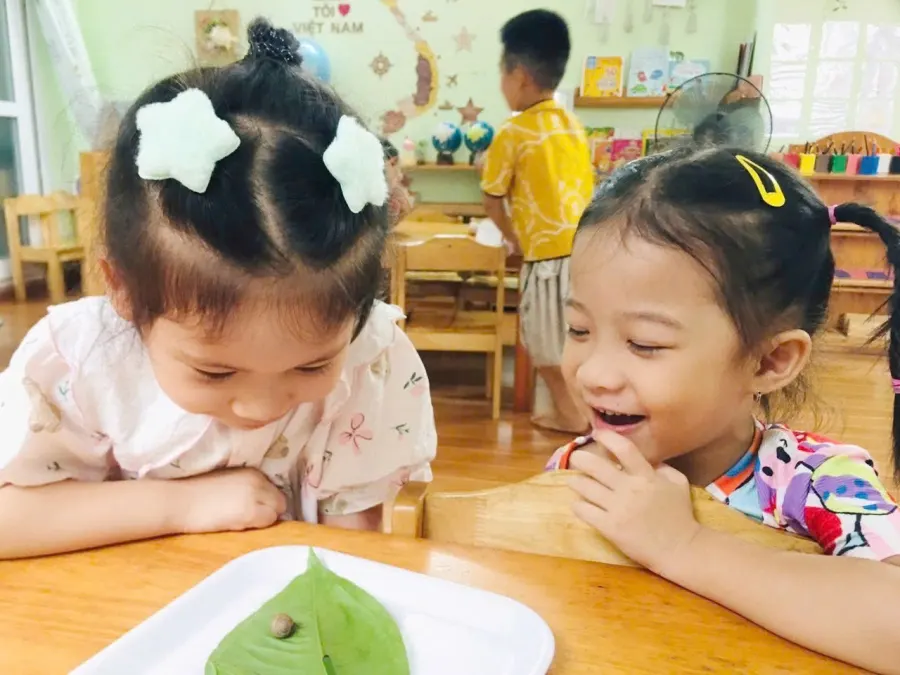 Mầm Non Trẻ Em Việt - Vietkids Plus
