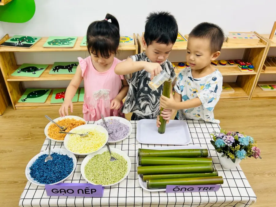 Trường Mầm Non Mầm Việt