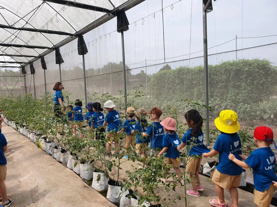 Trường Mầm Non Lami Montessori - Lami Gia Thụy
