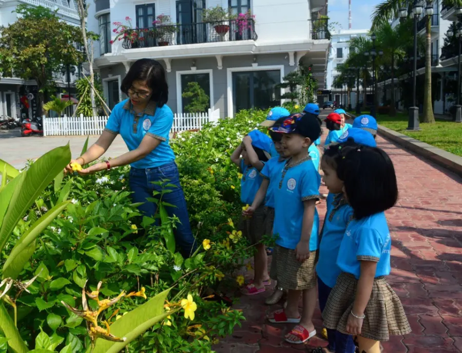Mầm non song ngữ Montessori Thông Minh Yên Bái