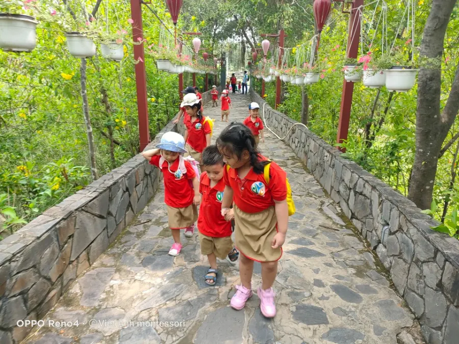 Trường Mầm Non Việt Anh
