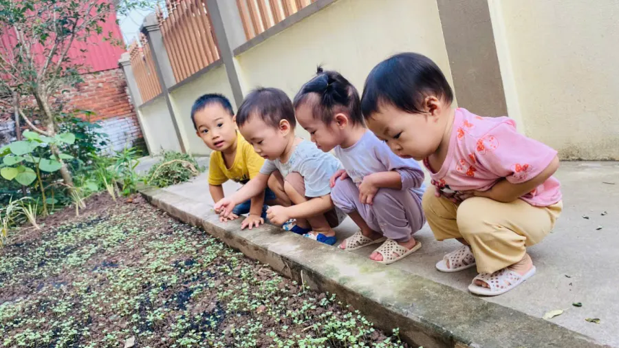 Mầm Non Chim Xanh Hạnh Phúc - Long Xuyên