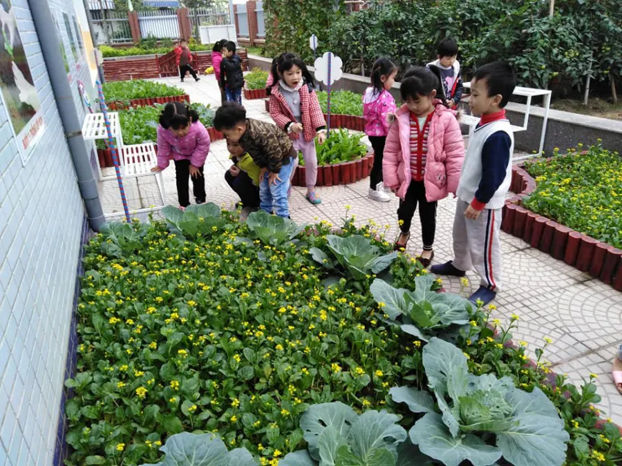 Trường mầm non Sen Hồng - Dương Nội Hà Đông