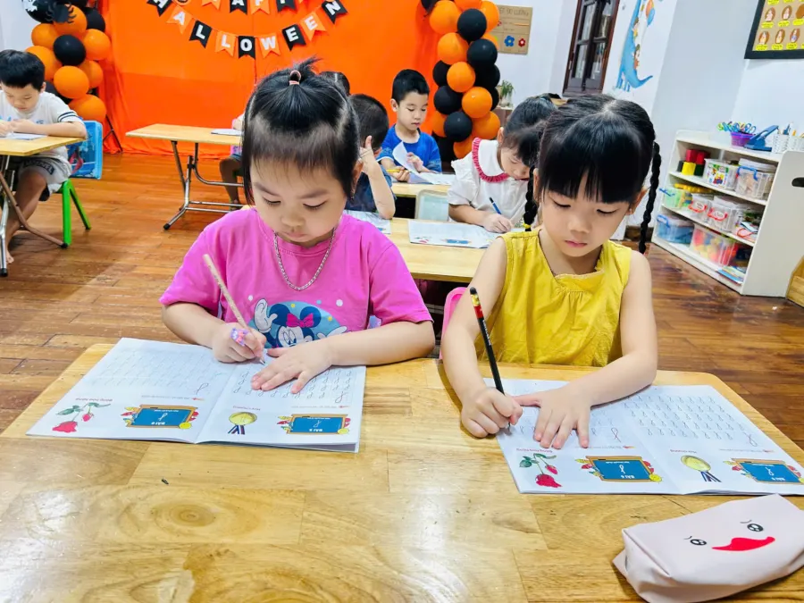 Trường Mầm Non Việt Mỹ Ngôi Nhà Lớn