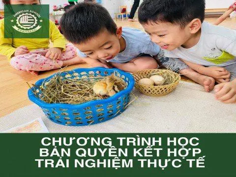 Trường mầm non Quốc tế American Montessori School AMSS - Montessori Hoa Kỳ