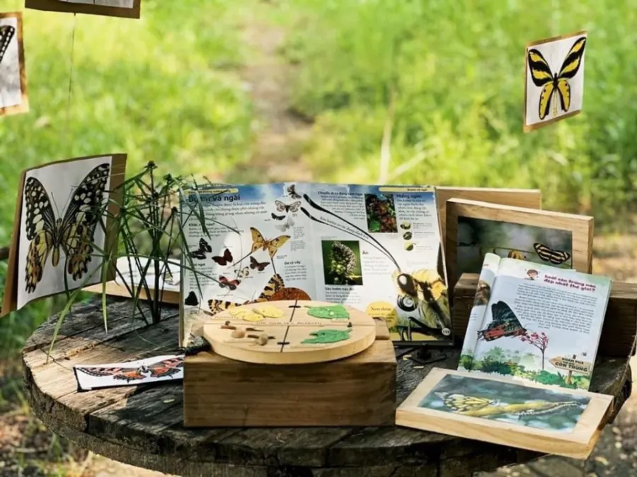 Trường Mầm non CÁNH DIỀU PLAYSCHOOL
