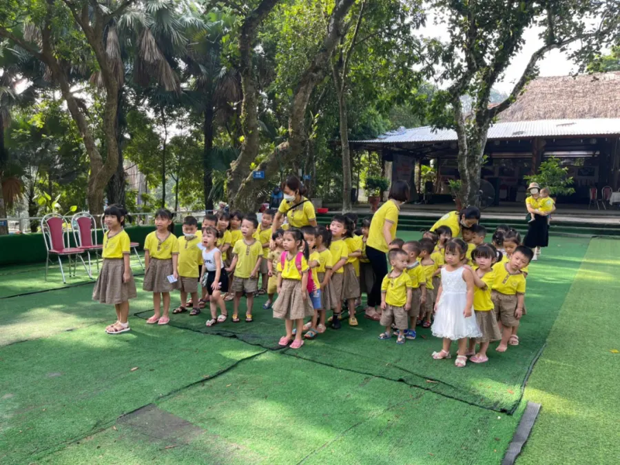Mầm Non Chất Lượng Cao Hoa Mai
