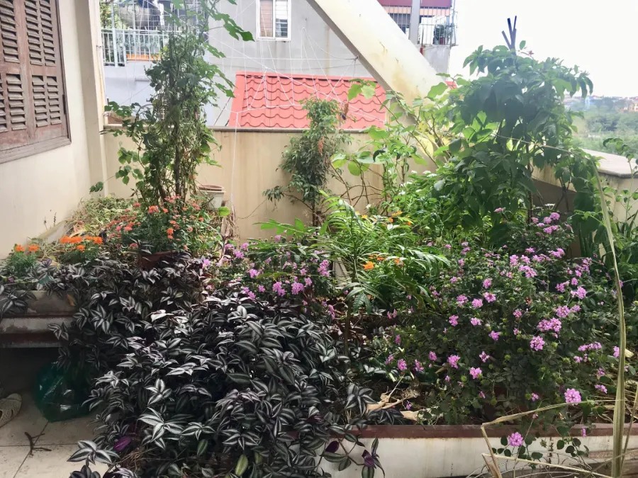 Hệ Thống Giáo Dục Đặc Biệt NANA
