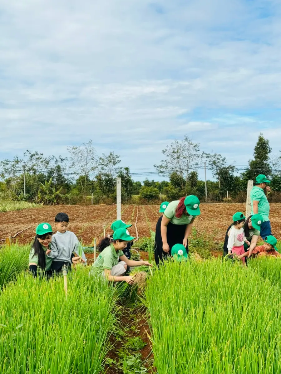 Trung Tâm Giáo Dục Đặc Biệt Ánh Phượng - Pleiku, Gia Lai - CS1
