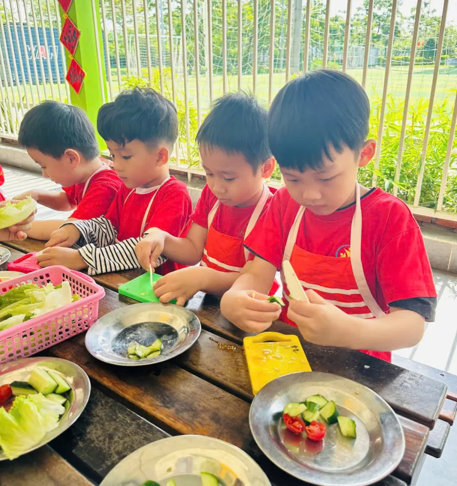 Trường Mầm Non Việt Anh