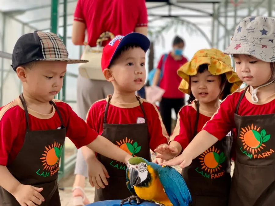 Trường Mầm non Hữu Nghị -  Khu đô thị Him Lam - Hồng Bàng