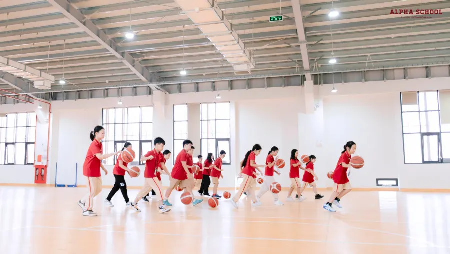 Trường Liên Cấp Alpha School