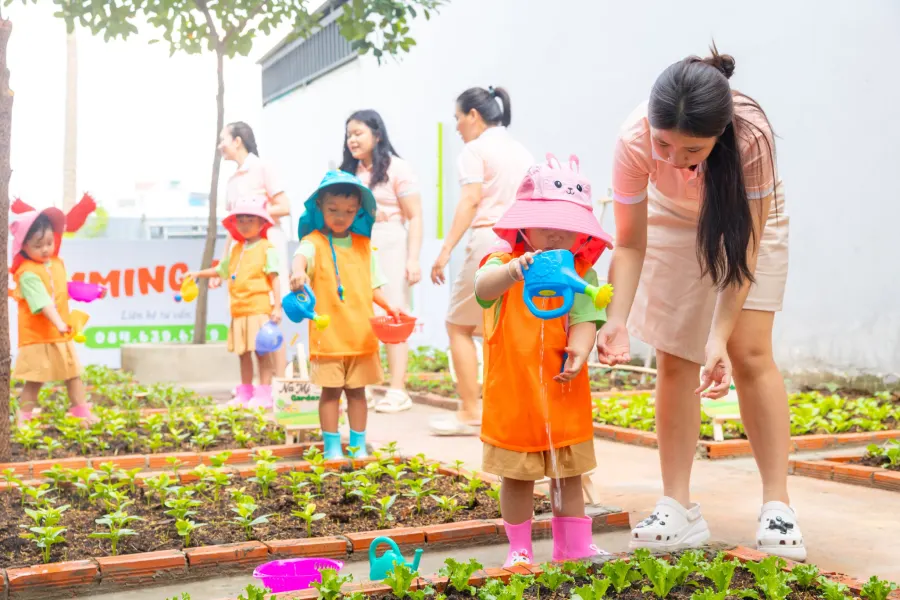 Lớp mẫu giáo Tuệ An 1 (American Nest Kindergarten)
