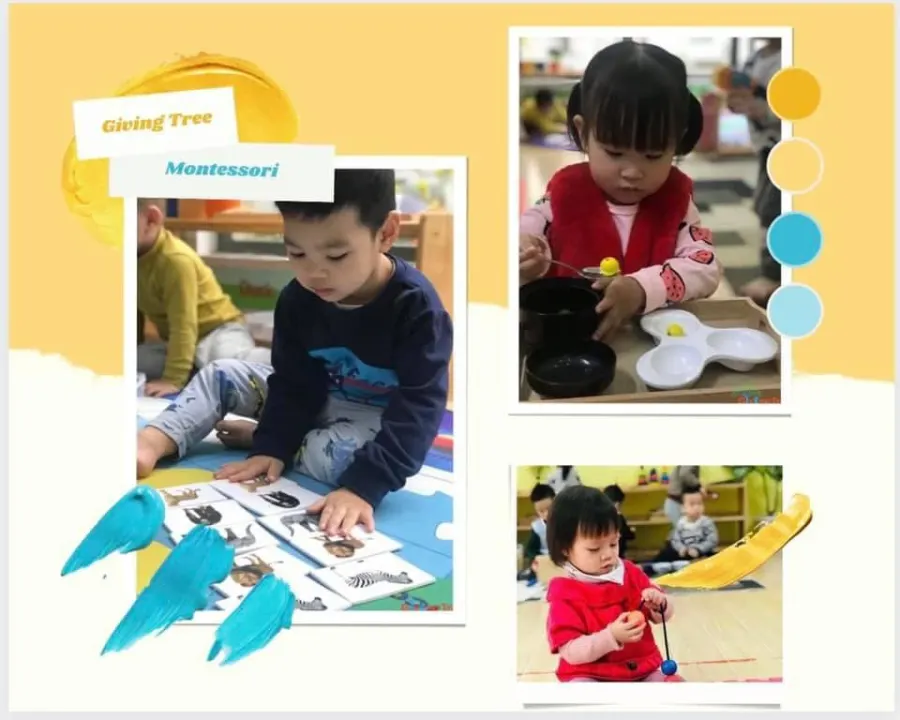 Trường mầm non Giving Tree Montessori - Đức Giang, Long Biên