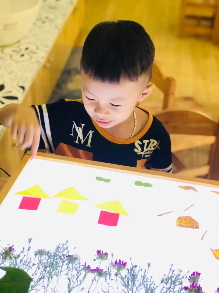 Trường mầm non Giving Tree Montessori - Đức Giang, Long Biên