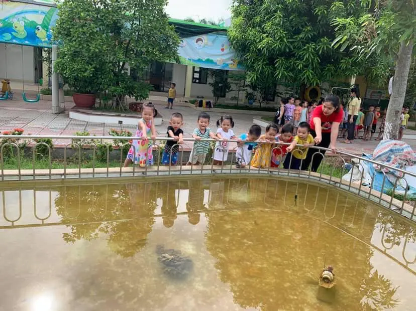 Trường mầm non Bảo Châu