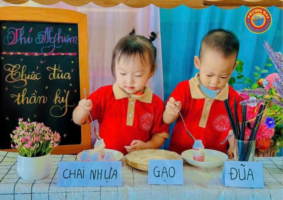 Trường Mầm Non Song Ngữ Phương Mai - Mỹ Lộc, Thanh Hóa