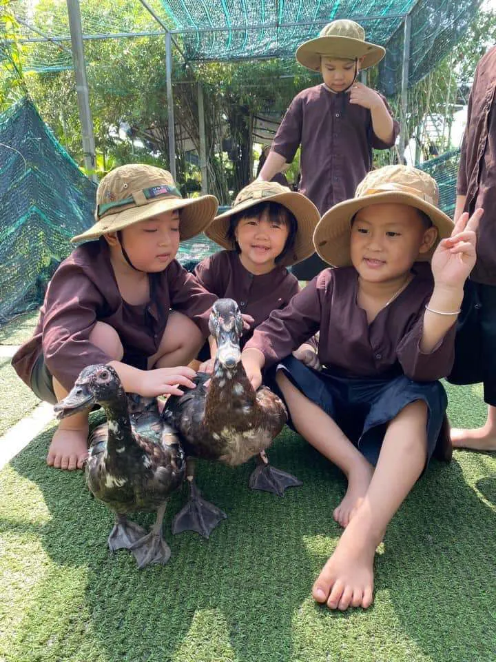 Trường Mầm Non Mỹ Úc AMIS (AUSTRALIAN AMERICAN INTERNATIONAL SCHOOL)- Đồng Nai